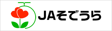 JAそでうら